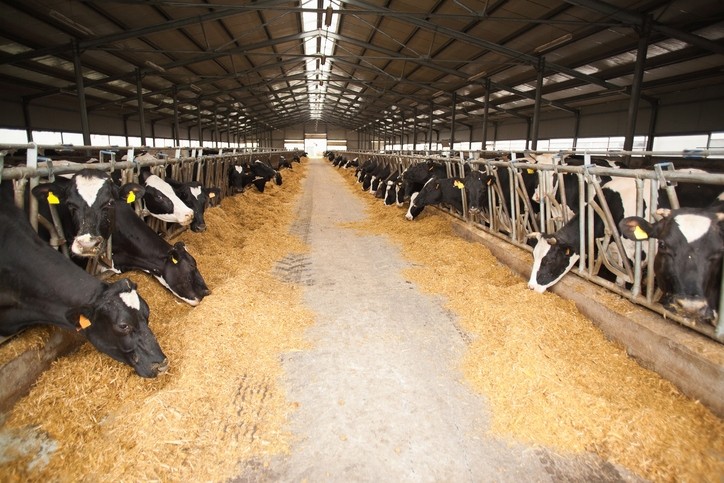 The Canadian dairy industry employs more than 220,000 people and contributes about $20bn per year to Canada's GDP. Pic: ©GettyImages/constantinopris
