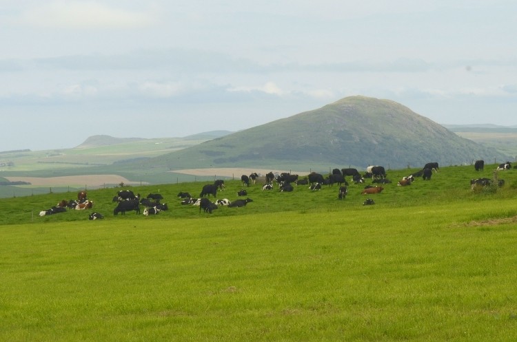 The new project will be based at SRUC’s Barony campus near Dumfries, in southern Scotland. 