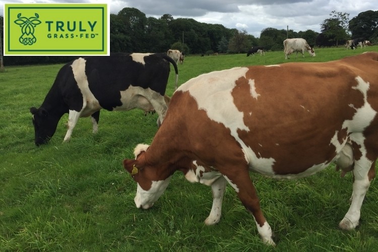TGF is a range of natural dairy ingredients from Glanbia Ireland made with milk from cows that have been 95% grass fed.