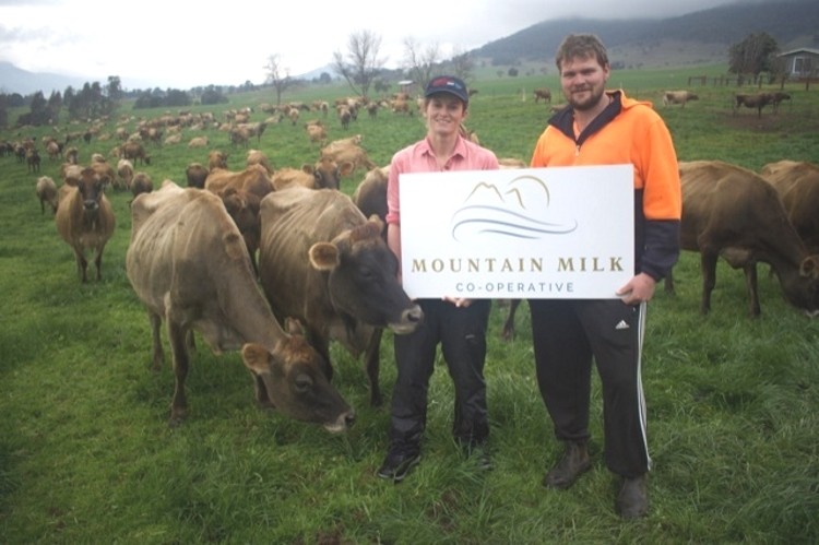 Teresa Hicks and Darren Sagrera, Mountain Milk’s newest cooperative members.