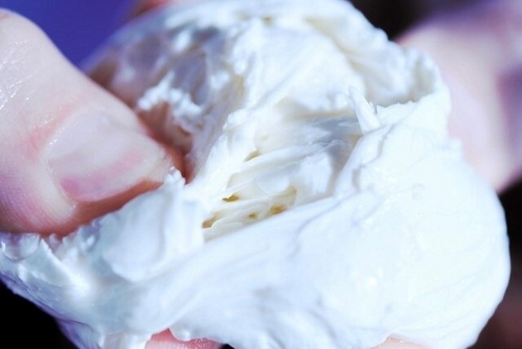 Formo is currently working on the animal-free production of fresh cheeses such as mozzarella and ricotta. Pic: Formo