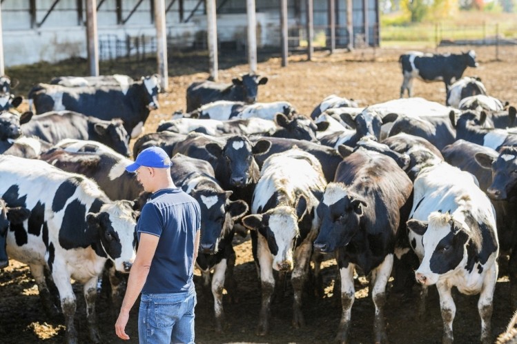 Deans Foods cited increased milk production combined with declining market demand as the main reasons for ending its contracts with some dairy farmers.  ©GettyImages/jenoche