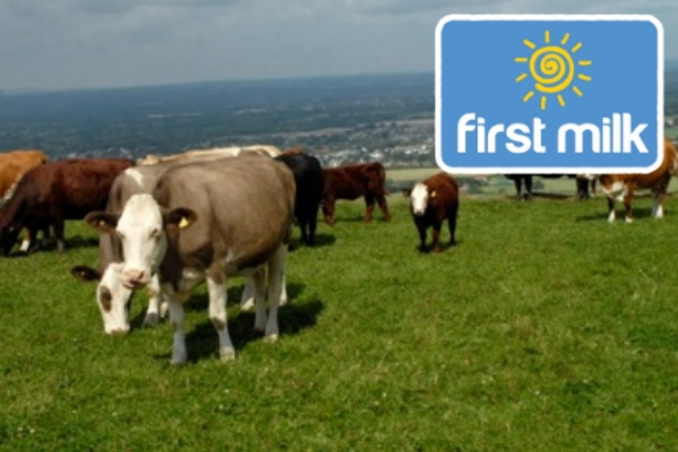 In July, First Milk will become the sole owner of the WPC manufacturing facilities based at its Lake District Creamery.