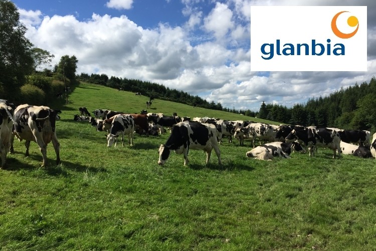 Glanbia said it expects to deliver more than 80% operating cash conversion of EBITDA in 2018.