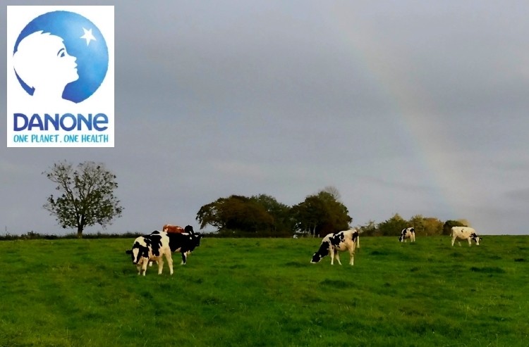 Danone said it is progressing towards full B Corp certification across all its legal entities in the UK & Ireland.
