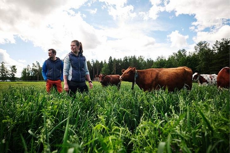 The Carbon Action project, launched in 2017 by BSAG, Sitra and the Finnish Meteorological Institute, researches and develops ways to accelerate soil carbon sequestration and verifies the results scientifically. Pic: Valio