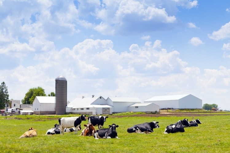 The US dairy industry is also realizing the importance of international collaboration as an opportunity to focus on specializations and new product development. ©GettyImages/Maksymowicz