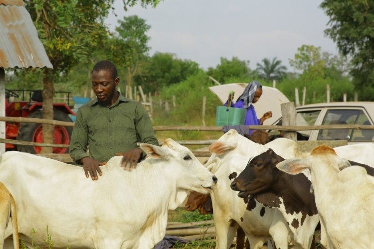 Moyosore Olatunde Rafiu is a smallholder dairy farmer under the FrieslandCampina WAMCO Dairy Development Programme.  