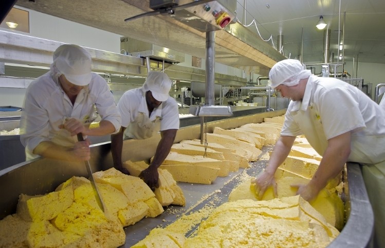 Dewlay Cheesemakers invested in a new enterprise resource planning system. Pic: Made Smarter
