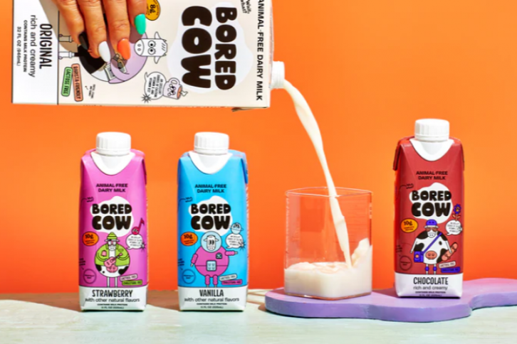 Bored Cow debuts its line of animal-free dairy milk in Sprouts Farmers Market. Photo: Business Wire