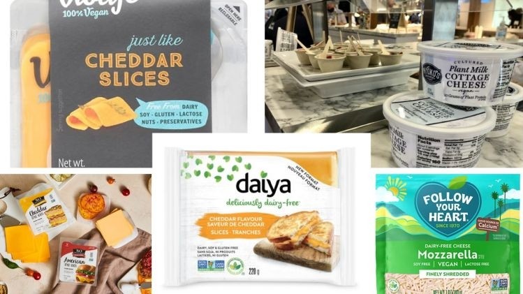 Image credits clockwise from top left: Violife, Elaine Watson, Danone North America, Daiya Foods, and Danone North America