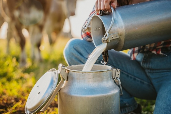 C. jejuni can remain in raw milk in a form that can survive the harsh conditions of storage. Image Source: GettyImages/SimonSkafar