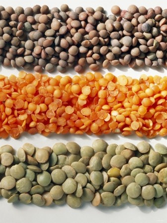 Ground lentils may have big promise as a new ingredient in probiotic dairy products, say the researchers 