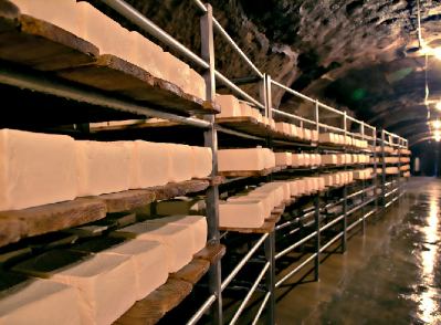 Nasal cheese maturing in the "unique" conditions of the Taga cave. (Image: Napolact)