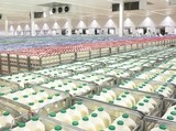 'Ignorant' EU Council blocks vital dairy reforms, EMB