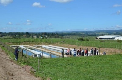 A farm trial in New Zealand is looking into using farm effluent to create fish food.