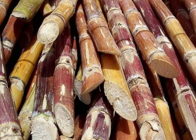 Evaporated cane juice (aka sugar) was widely used on product labels until a 'recent tsunami of lawsuits was filed', claims Whitewave Foods