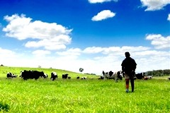 'Australian dairy producers fail to understand overseas markets'