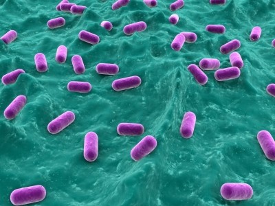 DuPont wins rare European probiotic gut health claims