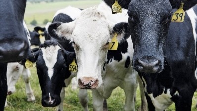 Waitrose has pledged that all its non-organic milk will come from cows that spend 100 days or more on pasture