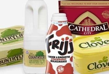 Dairy Crest expects £5m annual saving through management shake-up