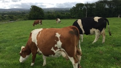 More than 16,000 dairy farm owners in Ireland have signed up to the Origin Green farm audit program.