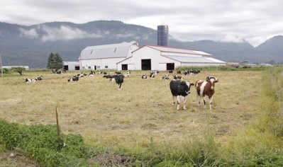 The dairy industry in Canada has proved to be a strong economic driver for the country with GDP reaching nearly $20bn in 2015. ©iStock/Modfos