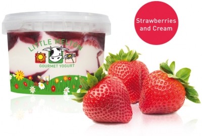 Gourmet yogurt firm bids for £2m turnover