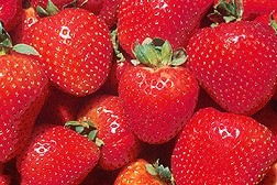 Strawberry is an attractive flavour to older consumers, says Carbery
