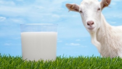 Gay Lea Foods is opening membership to dairy goat producers. Photo: iStock - WimL