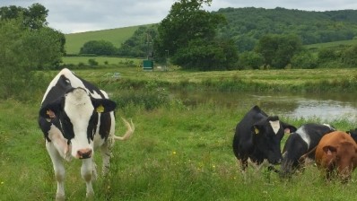 The UK's Dairy All-Party Parliamentary Group is looking for input from all sectors of the dairy industry.