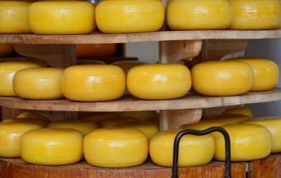 Rising global demand for cheese will help US dairy achieve a 5% increase in exports by 2021, Vilsack said.  ©iStock/Rob3rt82