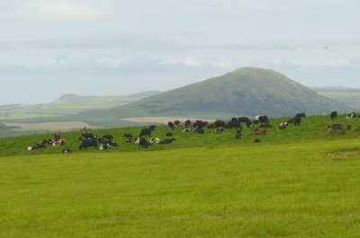 The new project will be based at SRUC’s Barony campus near Dumfries, in southern Scotland. 
