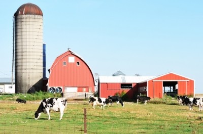 Danone North America will begin working with farmers in Kansas and Ohio before expanding to other states. Pic: Getty Images/steverts