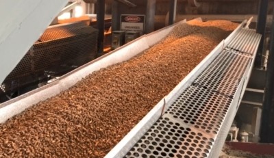 Fonterra switched its Te Awamutu site to wood pellets, which will reduce coal use by almost 10%. Pic: Fonterra