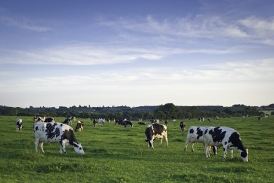 More than 90% of Danone's farm acres in the US are housed within the dairy shed. Pic: Getty/matthewleesdixon