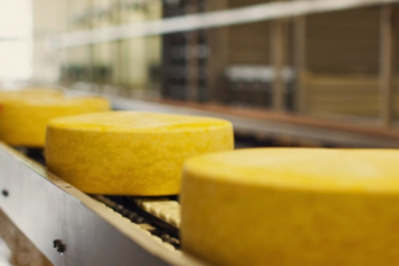 Loss of Jarlsberg exports contributed to the weaker results. 