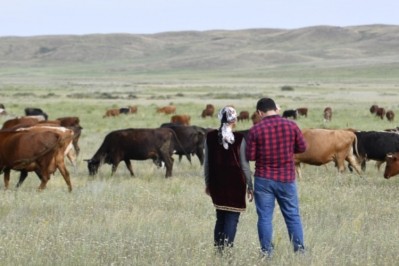 The EBRD and FAO say they will continue working with Kazakhstan’s livestock industry to create export opportunities for Kazakh producers. Pic:EBRD