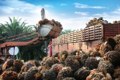 EU dairy exports to Indonesia could be affected in a row over palm oil. Pic: Getty Images/slpu9945 