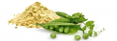 Peas: A sustainable, label-friendly and plant-based source of protein