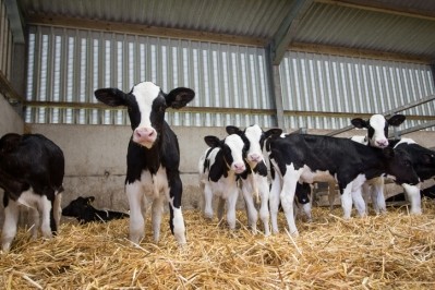 Breeding technology practices can lead to increased milk production and environmental benefits.  Pic: Getty/Deb Drury