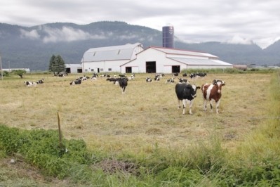 Dairy Farmers of Canada says the Canadian Government cannot 'continue to carve out portions of the dairy sector.' Pic:©GettyImages/Modfos