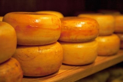 The starter culture can significantly shorten the maturation time of semi-soft cheeses such as edam. Image: Getty/Martin Child