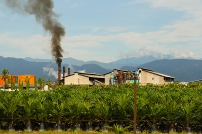 A palm oil processing plant in Sumatra, Indonesia © GettyImages/Nieuwenhuisen
