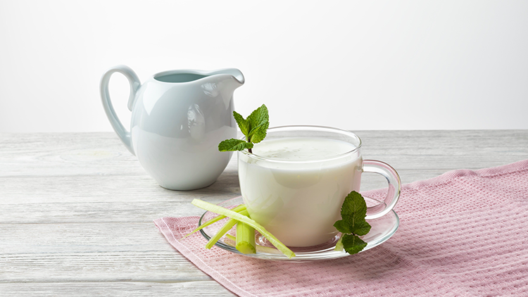 EPI INGREDIENTS’ organic yogurt powder