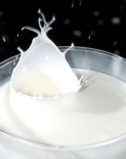 ‘Undervalued’ lactose doesn’t deserve bad dairy rap, study