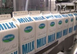 Danone quiet on Kenyan Brookside Dairy acquisition 'rumours'