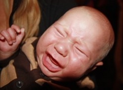 L. reuteri, "did not reduce crying or fussing in infants with colic...". IPA says the study is strain-specific and flawed.