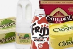 Following the re-organisation, Dairy Crest marketers will work across all of the company's brands.