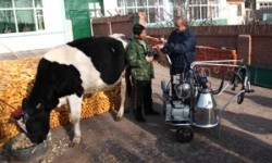Nestlé accelerates Chinese dairy development